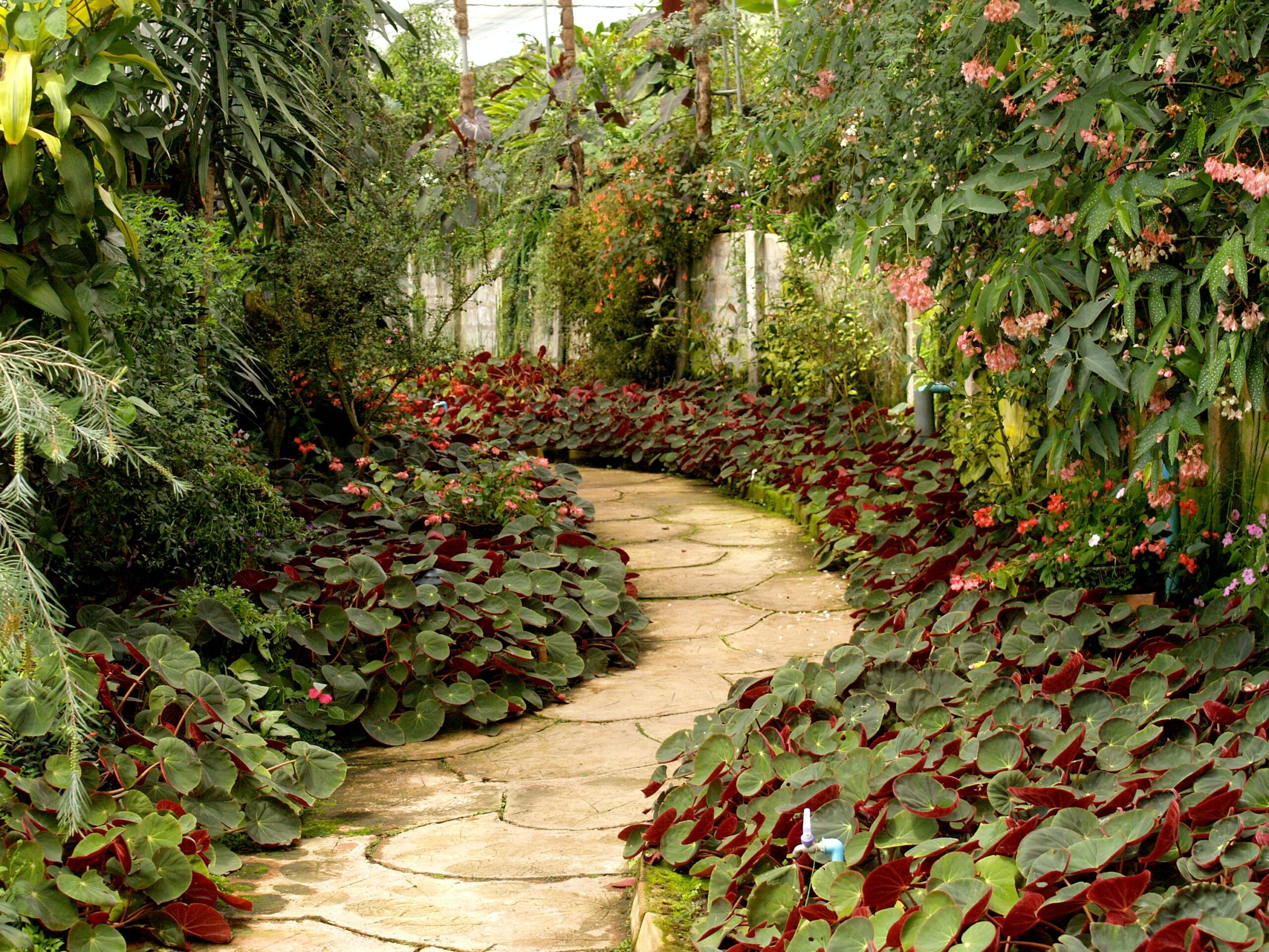 Path thru a beautiful garden showcasing companion planting guide and gardening when to start